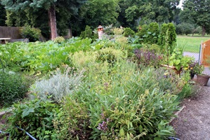 Kräutergarten
