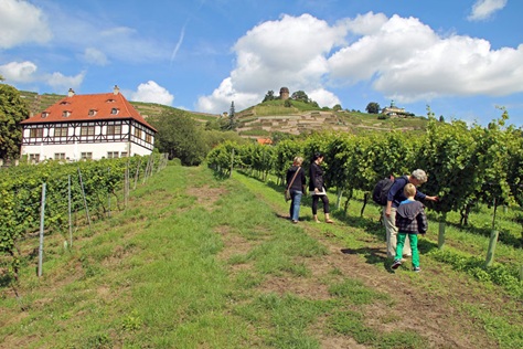 Hoflößnitz am Sächsischen Weinwanderweg